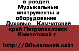  в раздел : Музыкальные инструменты и оборудование » Духовые . Камчатский край,Петропавловск-Камчатский г.